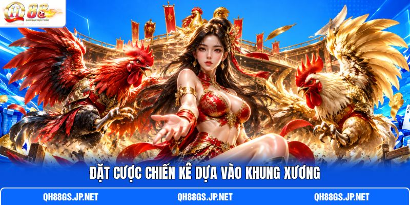 Đặt cược chiến kê dựa vào khung xương