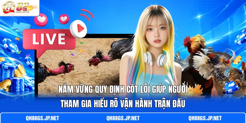 Nắm vững quy định cốt lõi giúp người tham gia hiểu rõ vận hành trận đấu