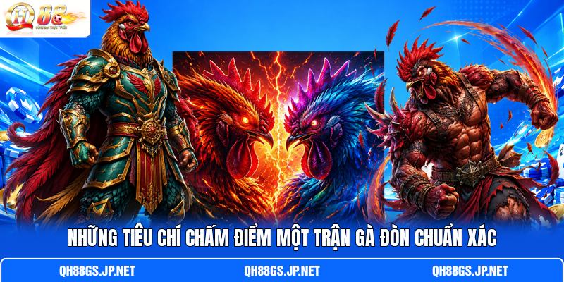 Những tiêu chí chấm điểm một trận gà đòn chuẩn xác