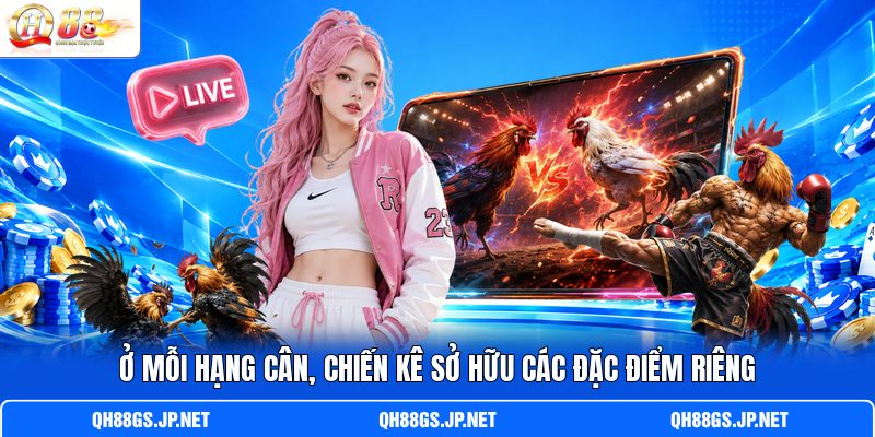 Ở mỗi hạng cân, chiến kê sở hữu các đặc điểm riêng
