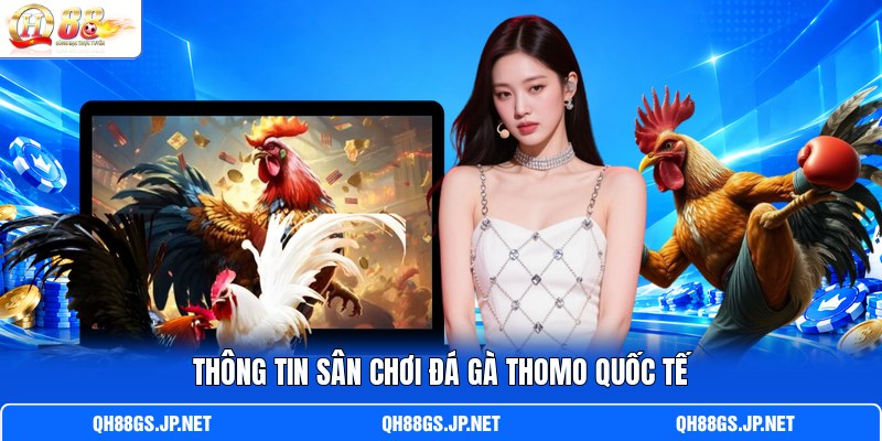 Thông tin sân chơi đá gà Thomo quốc tế